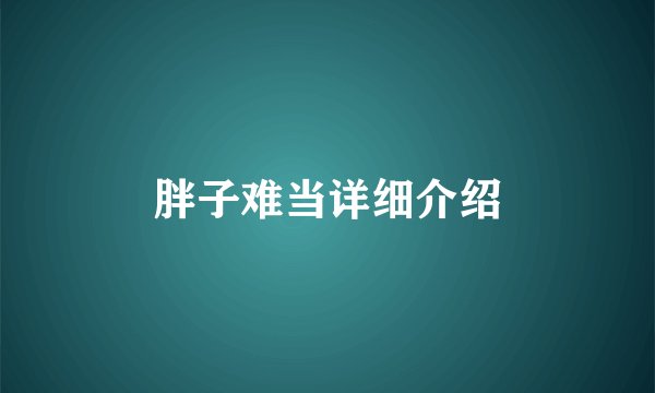 胖子难当详细介绍