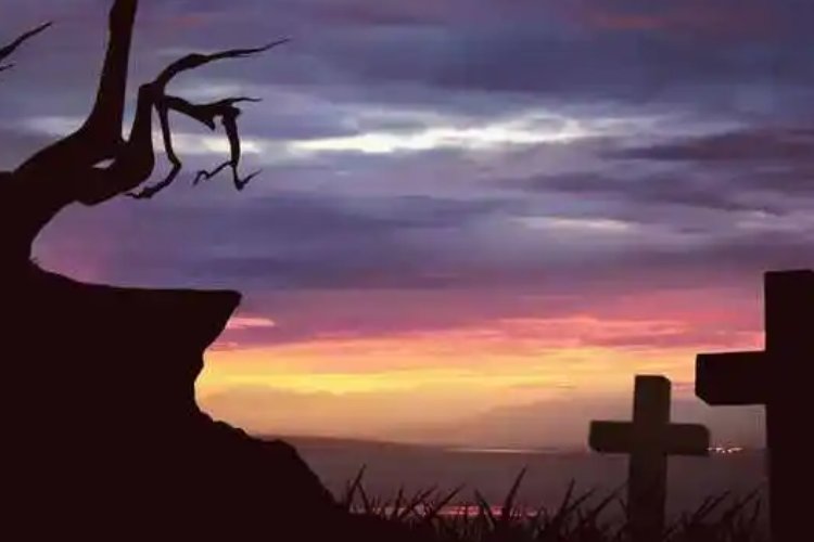 死伤相枕什么生肖