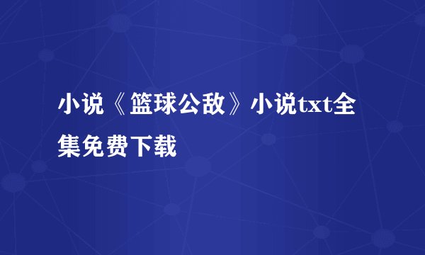 小说《篮球公敌》小说txt全集免费下载