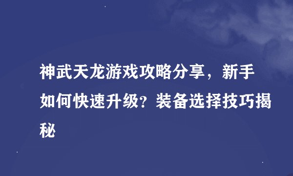 神武天龙游戏攻略分享，新手如何快速升级？装备选择技巧揭秘