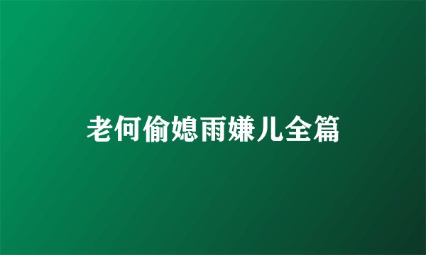 老何偷媳雨嫌儿全篇