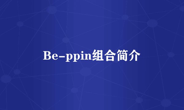 Be-ppin组合简介