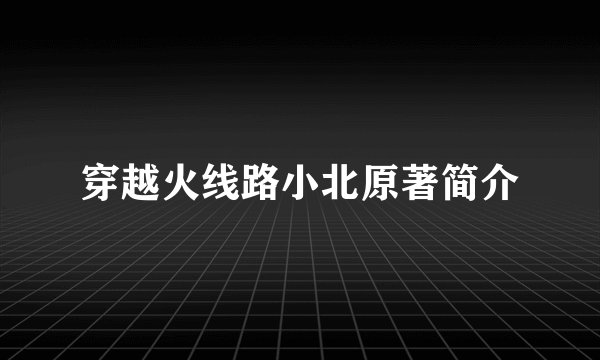 穿越火线路小北原著简介