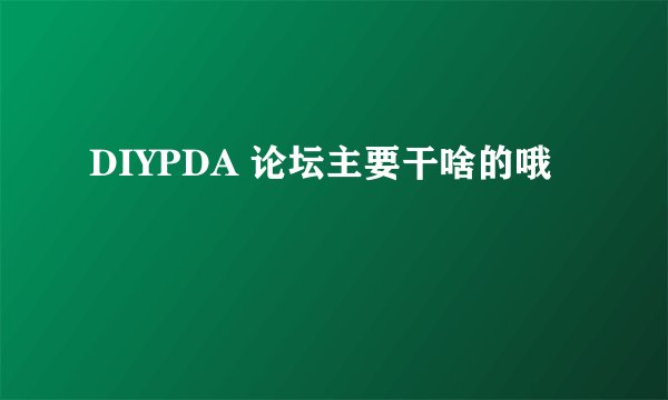 DIYPDA 论坛主要干啥的哦