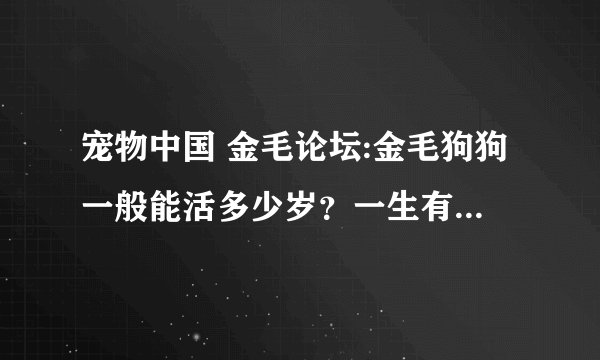 宠物中国 金毛论坛:金毛狗狗一般能活多少岁？一生有几个阶段？