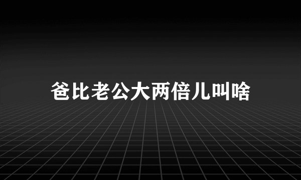 爸比老公大两倍儿叫啥