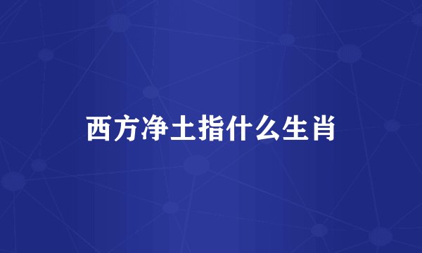 西方净土指什么生肖