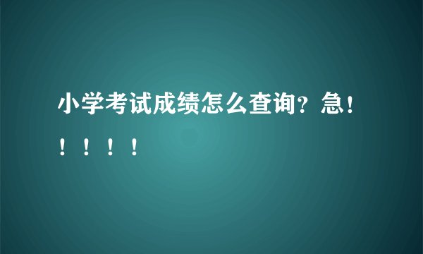 小学考试成绩怎么查询?急!!!!!