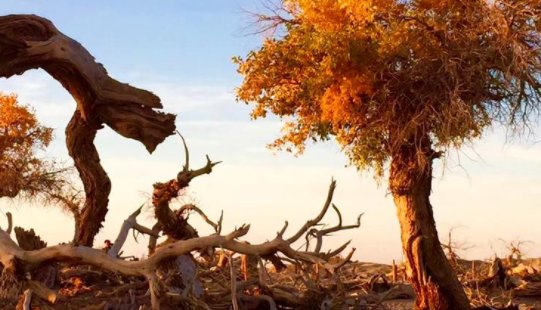 香港人办生命赞礼是什么意思