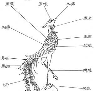 凤与凰的形态区别?有图片吗?