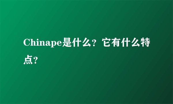 Chinape是什么？它有什么特点？