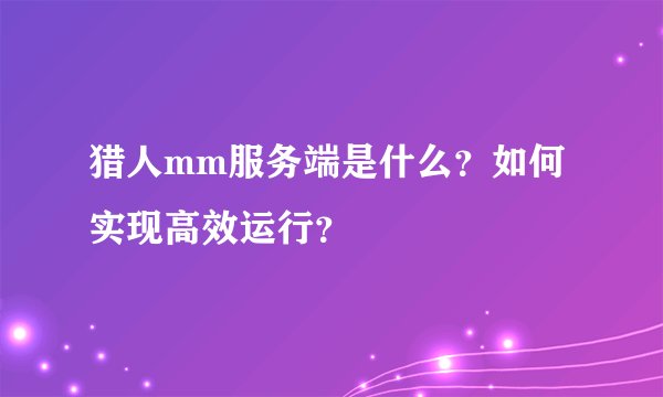 猎人mm服务端是什么？如何实现高效运行？