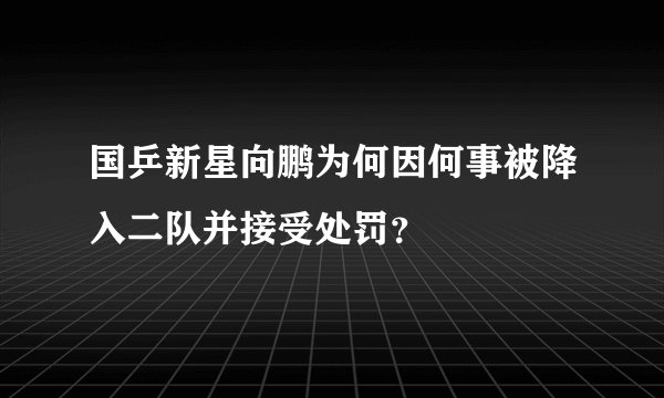 国乒新星向鹏为何因何事被降入二队并接受处罚？