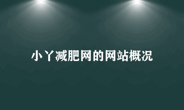 小丫减肥网的网站概况