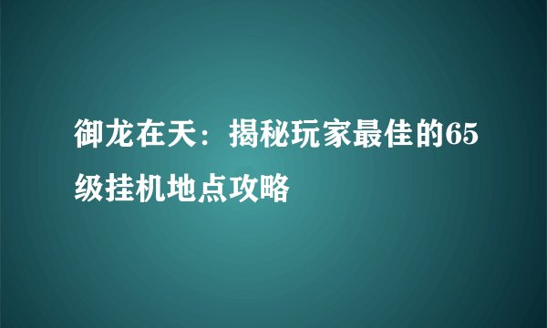 御龙在天：揭秘玩家最佳的65级挂机地点攻略