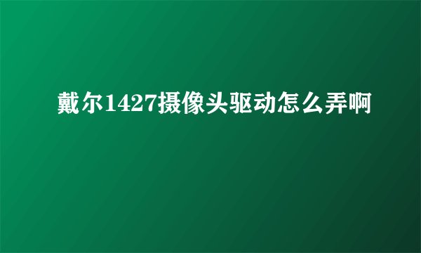 戴尔1427摄像头驱动怎么弄啊