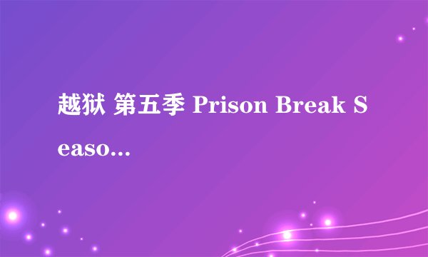 越狱 第五季 Prison Break Season 5 (2017)全集未删减高清版免费下载