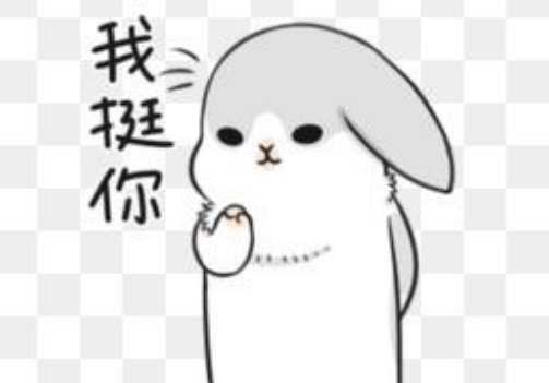 我挺你。是什么意思？