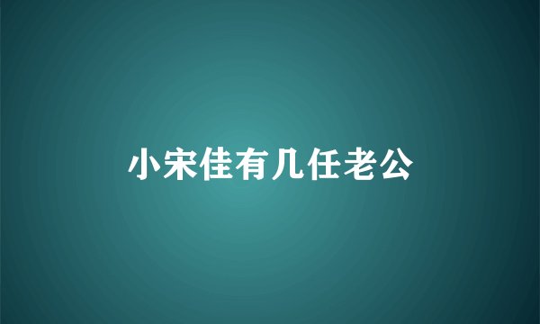 小宋佳有几任老公