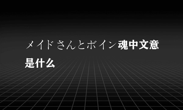 メイドさんとボイン魂中文意是什么