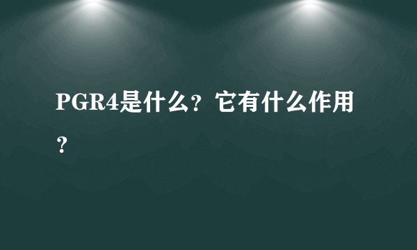 PGR4是什么？它有什么作用？