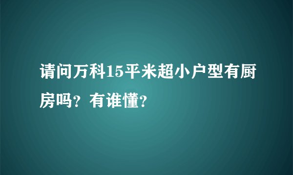 请问万科15平米超小户型有厨房吗？有谁懂？
