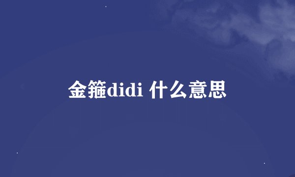 金箍didi 什么意思