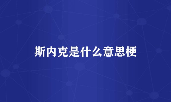 斯内克是什么意思梗