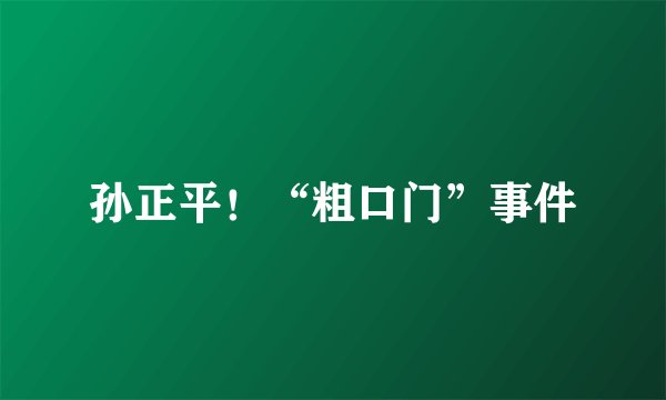 孙正平！“粗口门”事件