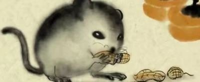 凿壁偷光是什么生肖?