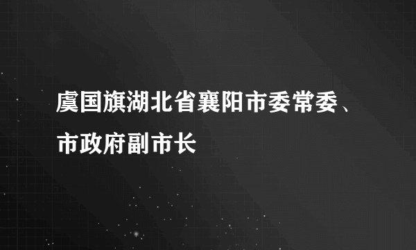 虞国旗湖北省襄阳市委常委、市政府副市长