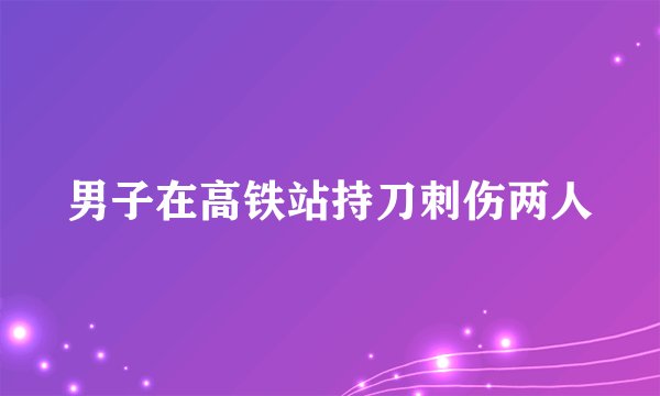 男子在高铁站持刀刺伤两人