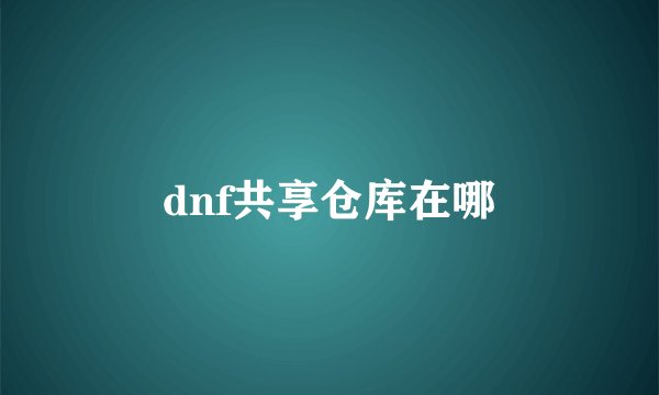 dnf共享仓库在哪