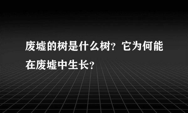废墟的树是什么树？它为何能在废墟中生长？