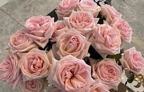 十九朵玫瑰代表什么意思 男生送女生19朵玫瑰花的含义