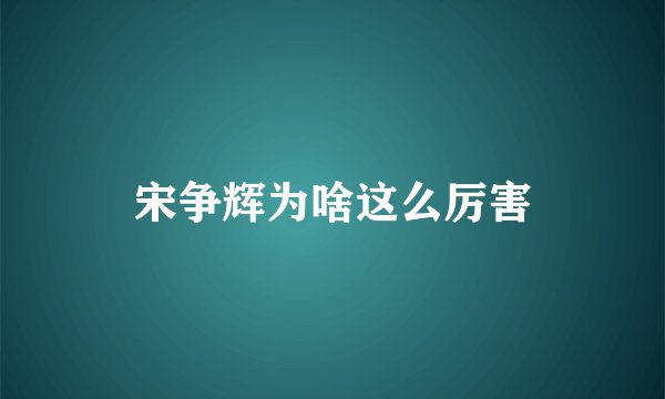 宋争辉为啥这么厉害
