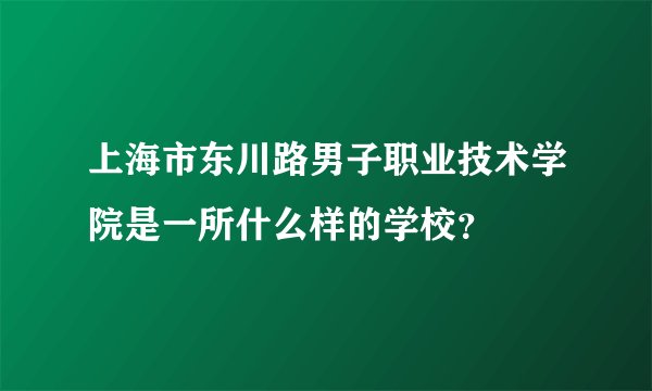 上海市东川路男子职业技术学院是一所什么样的学校？