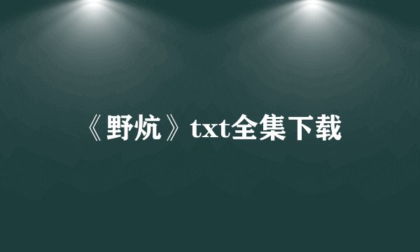 《野炕》txt全集下载
