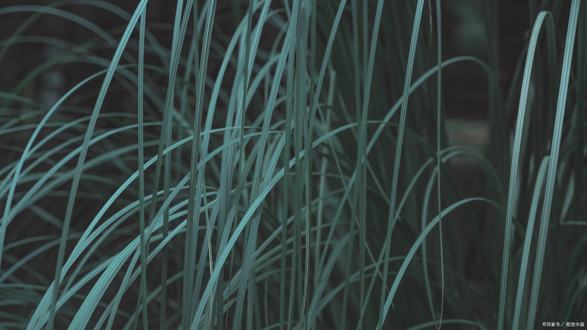 千丝万缕是什么意思