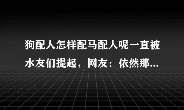 狗配人怎样配马配人呢一直被水友们提起，网友：依然那么受欢迎
