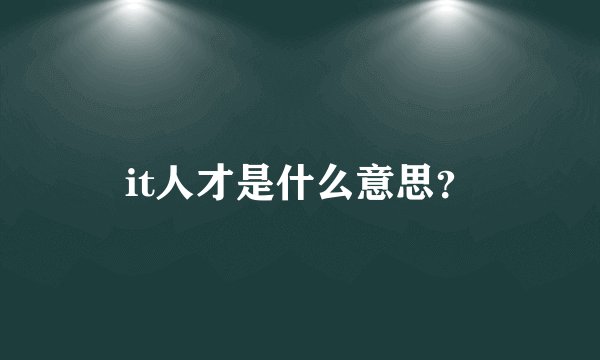 it人才是什么意思？
