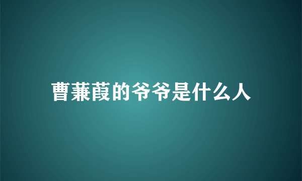曹蒹葭的爷爷是什么人