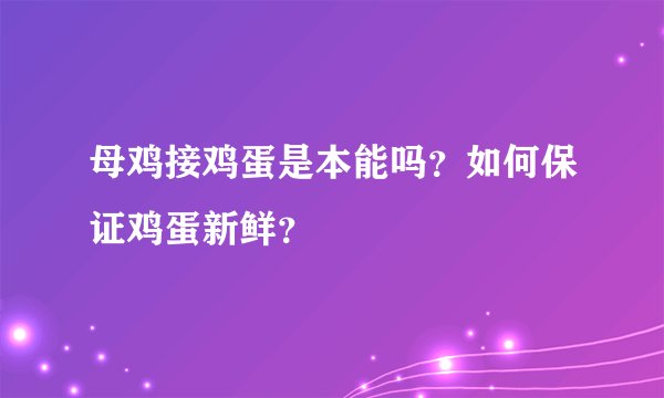 母鸡接鸡蛋是本能吗？如何保证鸡蛋新鲜？