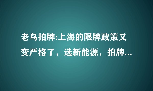 老鸟拍牌:上海的限牌政策又变严格了，选新能源，拍牌，还是绿色出行？