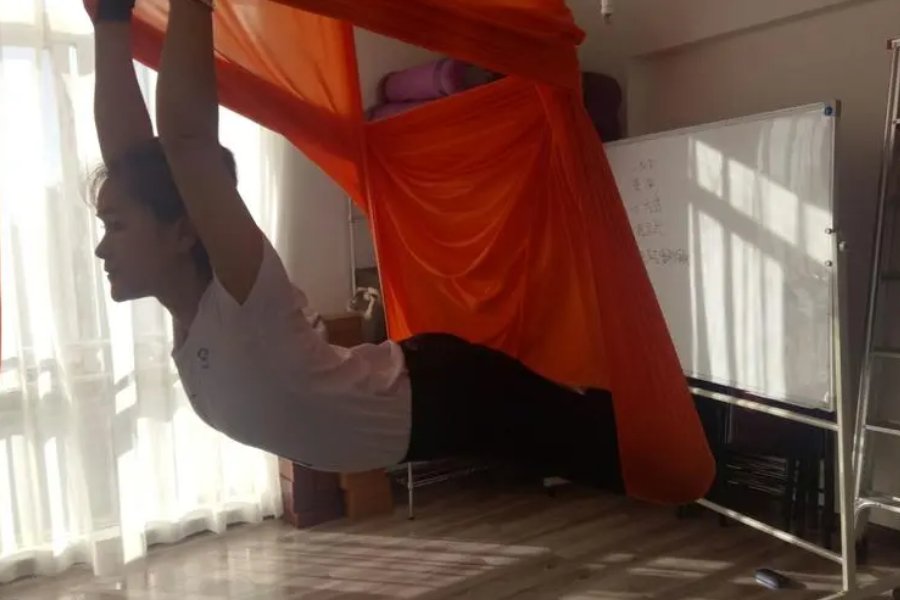 海星吸盘式是什么动作图