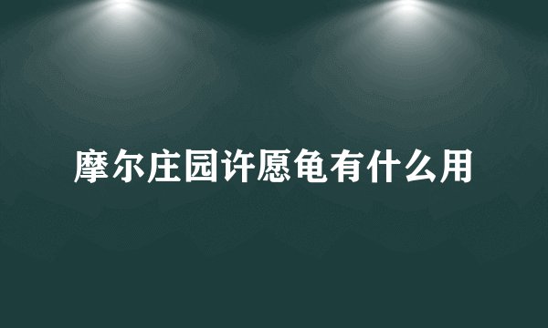 摩尔庄园许愿龟有什么用