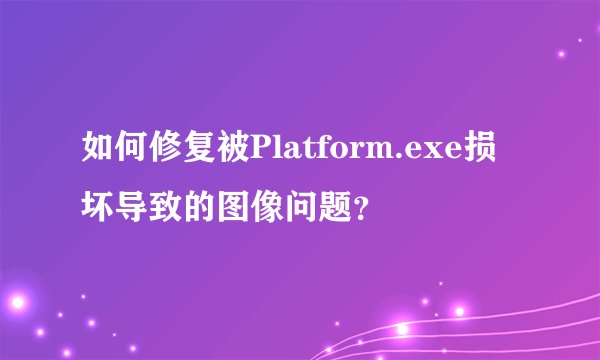 如何修复被Platform.exe损坏导致的图像问题？