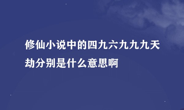 修仙小说中的四九六九九九天劫分别是什么意思啊