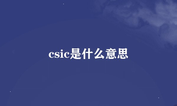 csic是什么意思