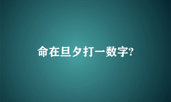 命在旦夕打一数字?